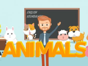 Lesson 1 Animals Vocabulary