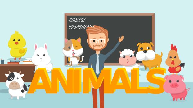 Lesson 1 Animals Vocabulary