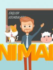 Lesson 1 Animals Vocabulary