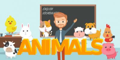 Lesson 1 Animals Vocabulary